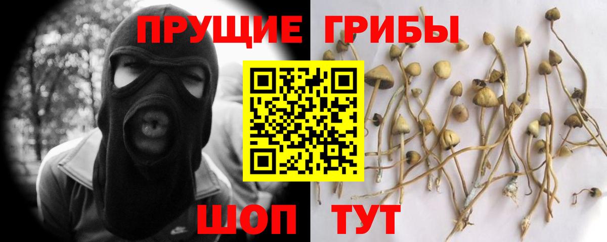 Псилоцибиновые грибы GOLDEN TEACHER Ногинск